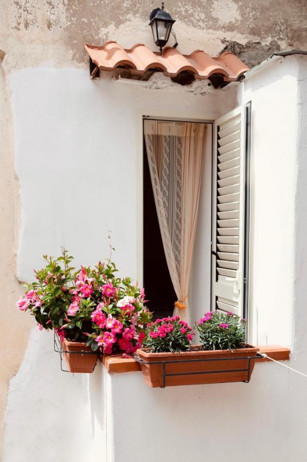 Il Riccio Apartment 28 Procida Exterior photo